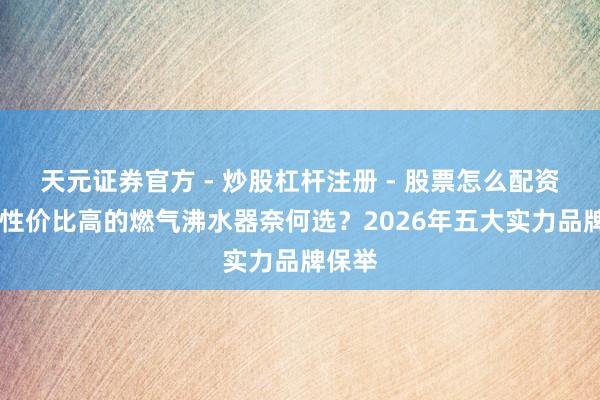 天元证券官方 - 炒股杠杆注册 - 股票怎么配资开户 性价比高的燃气沸水器奈何选？2026年五大实力品牌保举