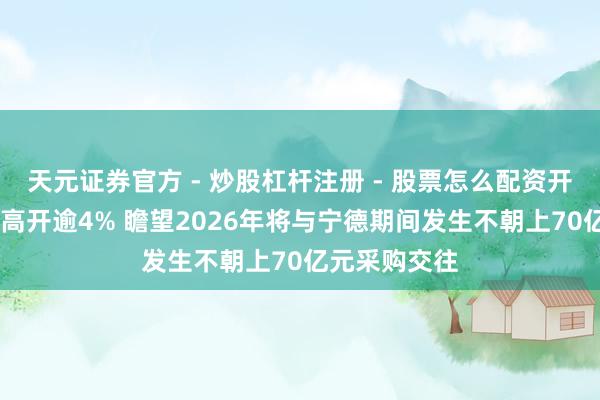 天元证券官方 - 炒股杠杆注册 - 股票怎么配资开户 龙蟠科技高开逾4% 瞻望2026年将与宁德期间发生不朝上70亿元采购交往